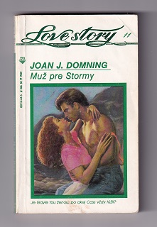 Muž pre Stormy /Joan J. Domning/
