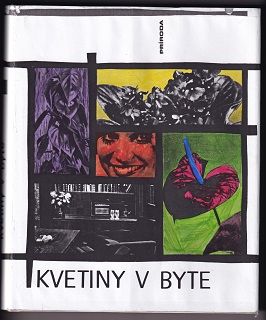 Kvetiny v byte /Jaroslav Machovec/