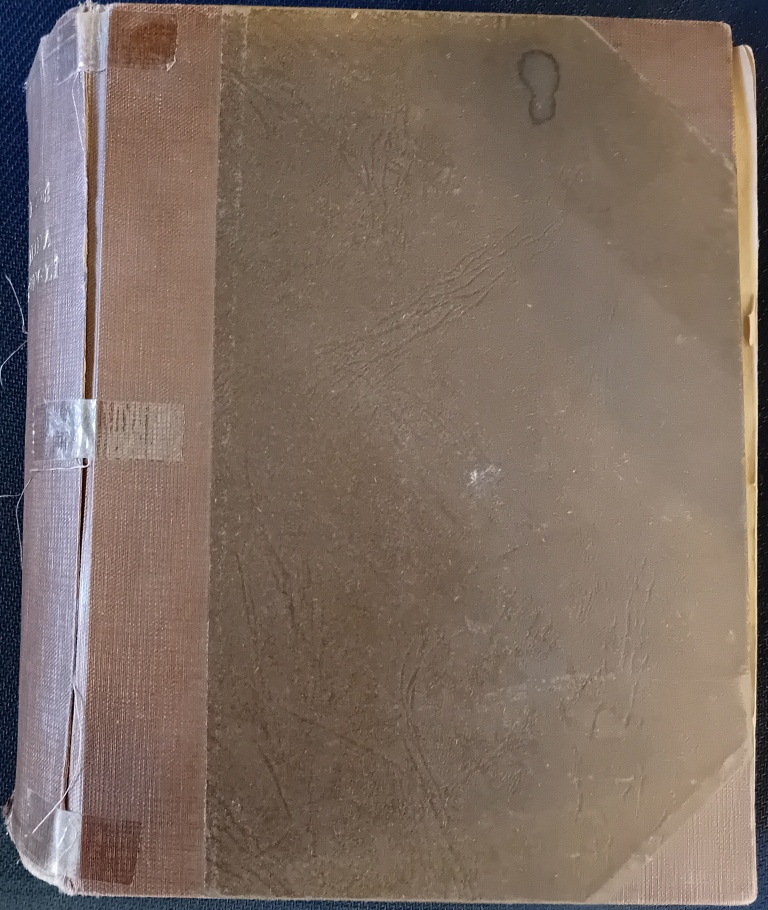 Kniha džunglí /Rudyard Kipling/